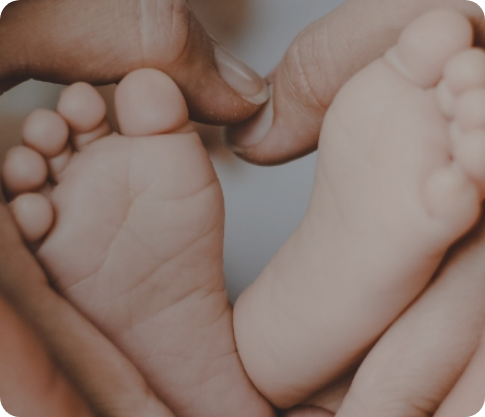 Programa Fertilidad